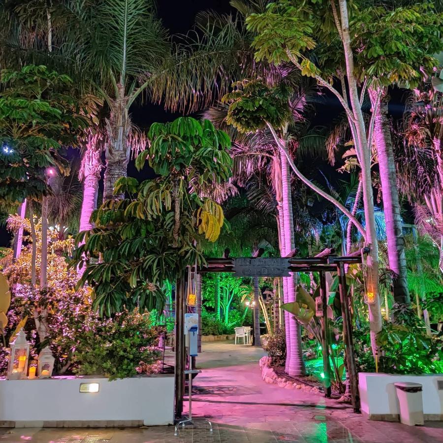 Garden Luxury Apartment Aya Napa Dış mekan fotoğraf